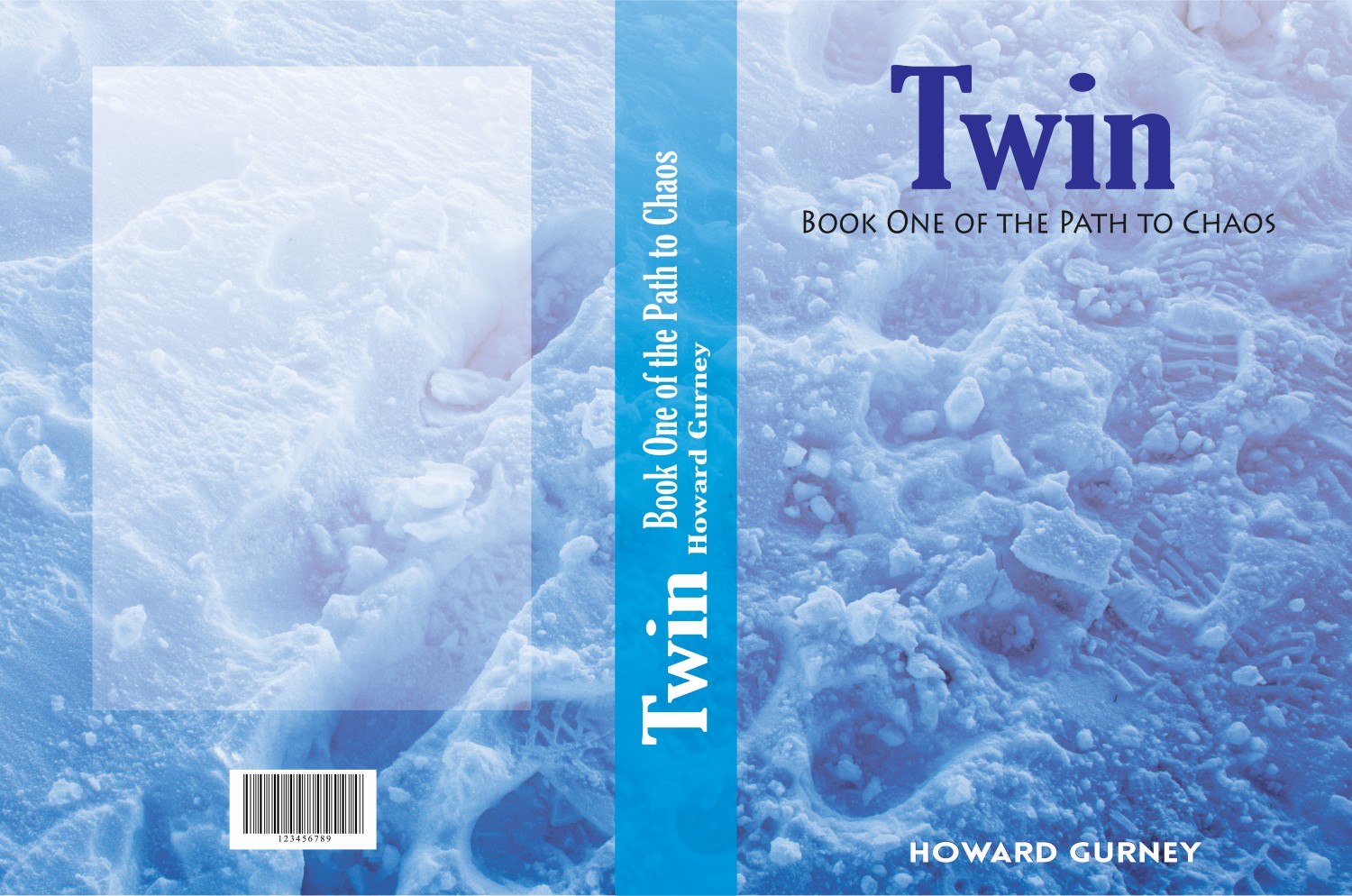 Book Cover Design by DG for this project | Design #7955176