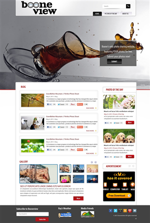 Wordpress Design by pb for LifeCross LLC | Design: #1964289