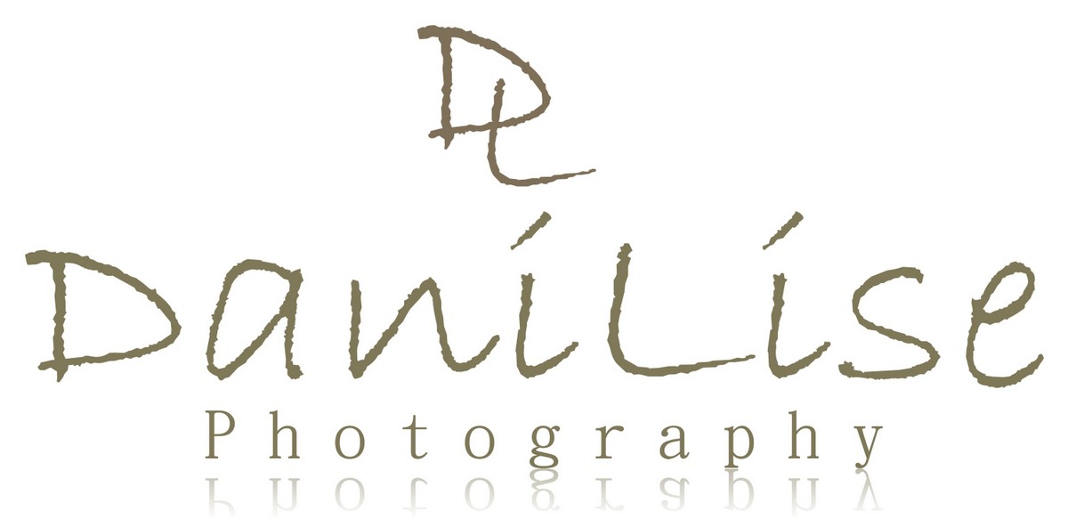 Logo Design by Nursue_21 for DaniLise Photography | Design #2083649
