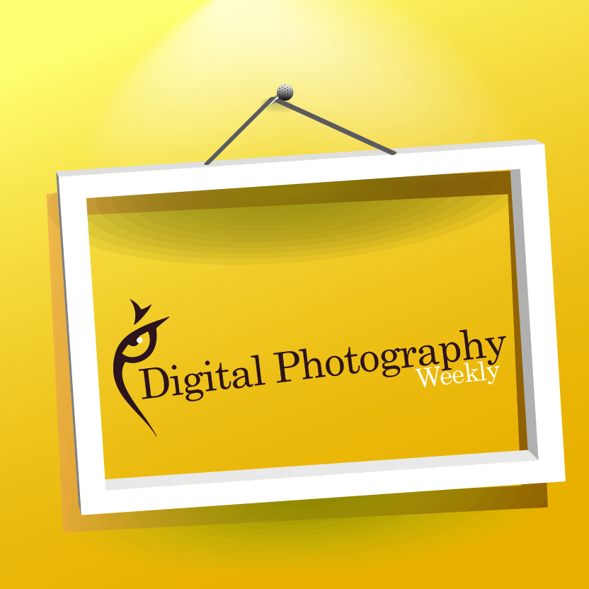 Design de Logo par Niyanta Puri pour ce projet | Design #1947055