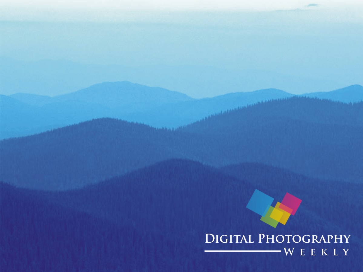 Logo Design by Sushmaa for this project | Design #1944618