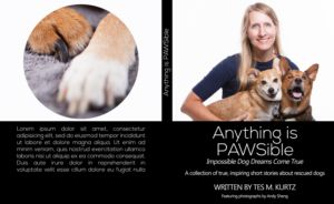 Book Cover Design by leuchi
