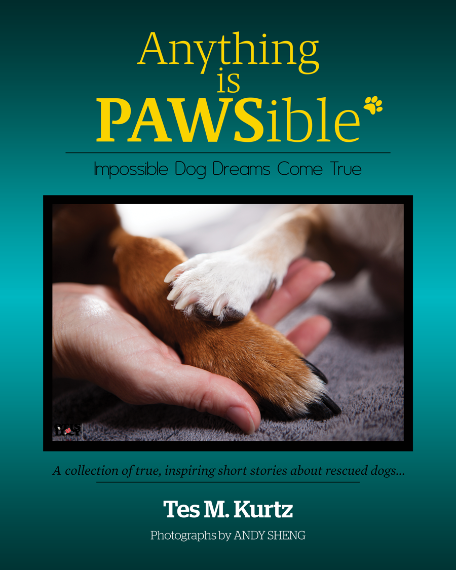 Design de Couverture de Livre par dinug.312 pour ce projet | Design #8170997