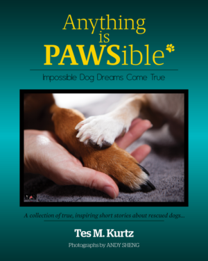 Design de Couverture de Livre par dinug.312 pour ce projet | Design : #8170997