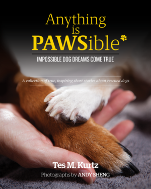 Book Cover Design by dinug.312 for this project | Design: #8171961