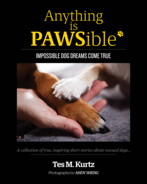 Design de Couverture de Livre par dinug.312 pour ce projet | Design : #8172109