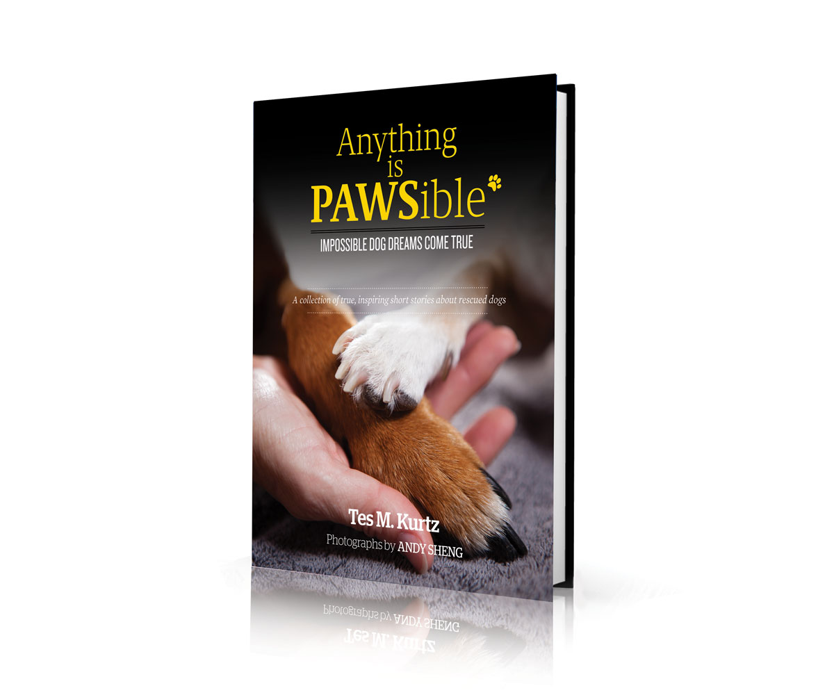 Book Cover Design by dinug.312 for this project | Design #8173591