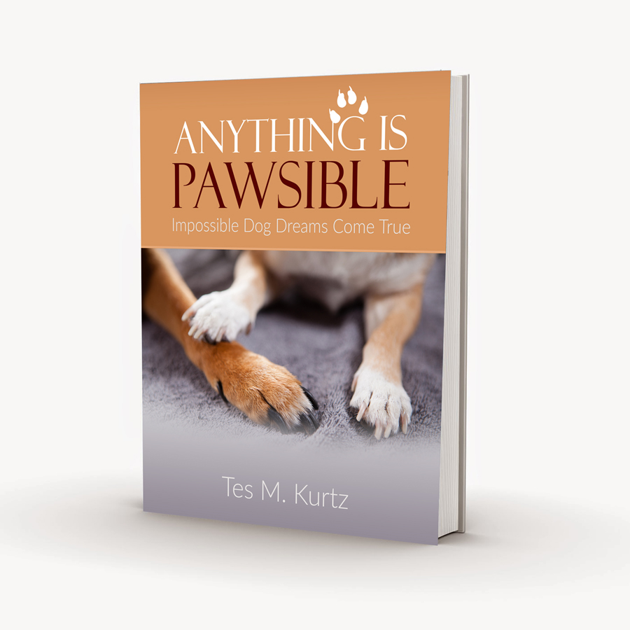 Book Cover Design by Gfx.26™ for this project | Design #8214564