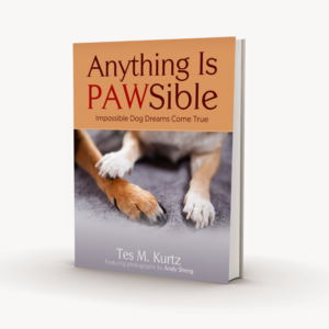 Book Cover Design by Gfx.26™ for this project | Design: #8387828