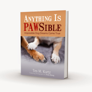 Book Cover Design by Gfx.26™ for this project | Design: #8387830