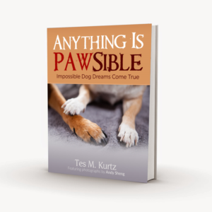 Book Cover Design by Gfx.26™ for this project | Design: #8387831