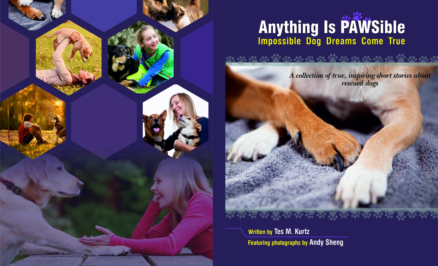 Book Cover Design by 3pixelzpm for this project | Design #8404531