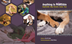 Book Cover Design by 3pixelzpm