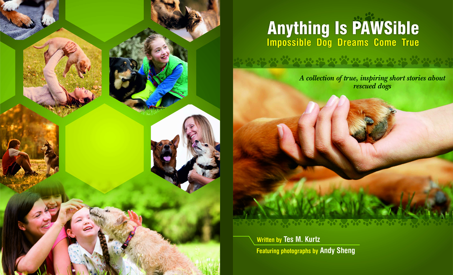 Design de Couverture de Livre par 3pixelzpm pour ce projet | Design #8404532