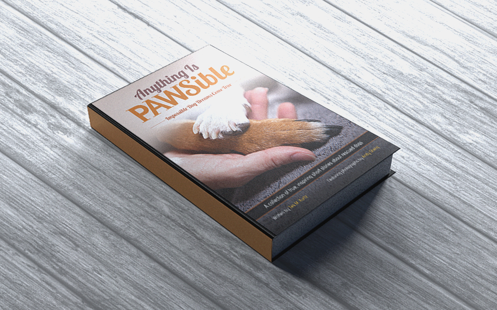 Design de Couverture de Livre par creative.SB pour ce projet | Design #8165475