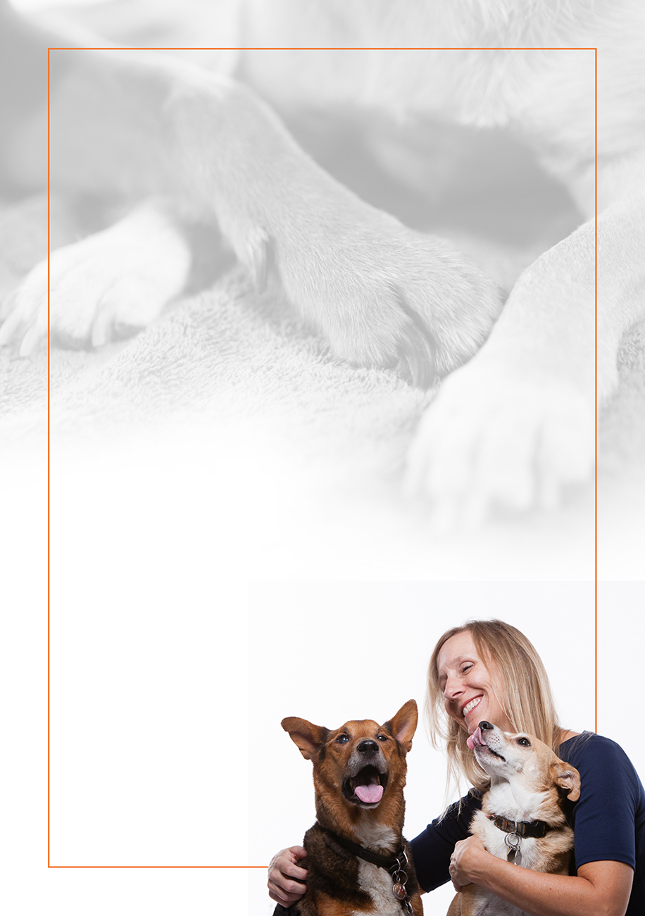 Design de Couverture de Livre par creative.SB pour ce projet | Design #8165476