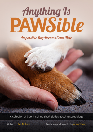 Book Cover Design by creative.SB for this project | Design: #8165477