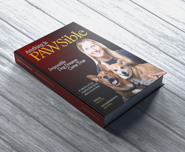 Book Cover Design by creative.SB for this project | Design #8167113