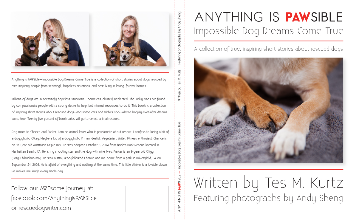 Design de Couverture de Livre par january_vogel pour ce projet | Design #8396214