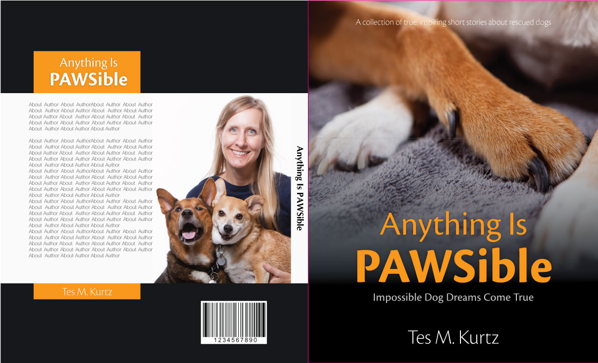 Design de Couverture de Livre par GMWIRE pour ce projet | Design #8407285