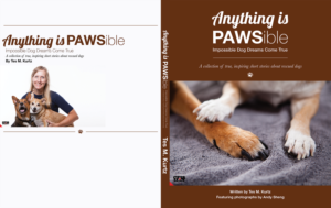 Book Cover Design by Wildfire