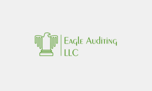Logo Design by Laleh for Eagle Auditing, LLC | Design: #7924413