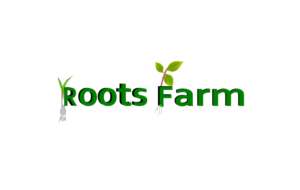 Logo Design by designerone