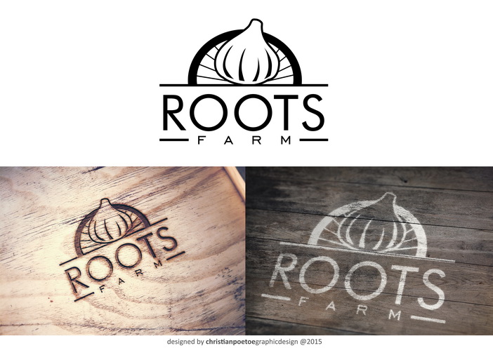 Diseño de Logo por christianpoetoe para este proyecto | Diseño #7935085