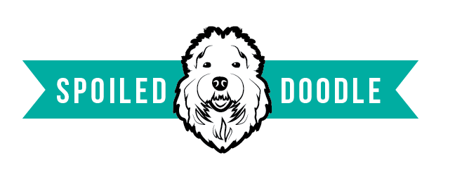 Logo Design by TSEdesign for this project | Design #8419220