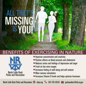 Advertisement Design by Lance Palmer