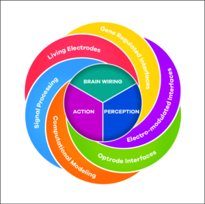 Diseño Gráfico por raph para este proyecto | Diseño: #7975383