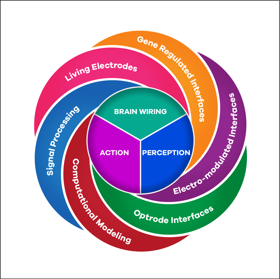 Diseño Gráfico por raph para este proyecto | Diseño #7975384