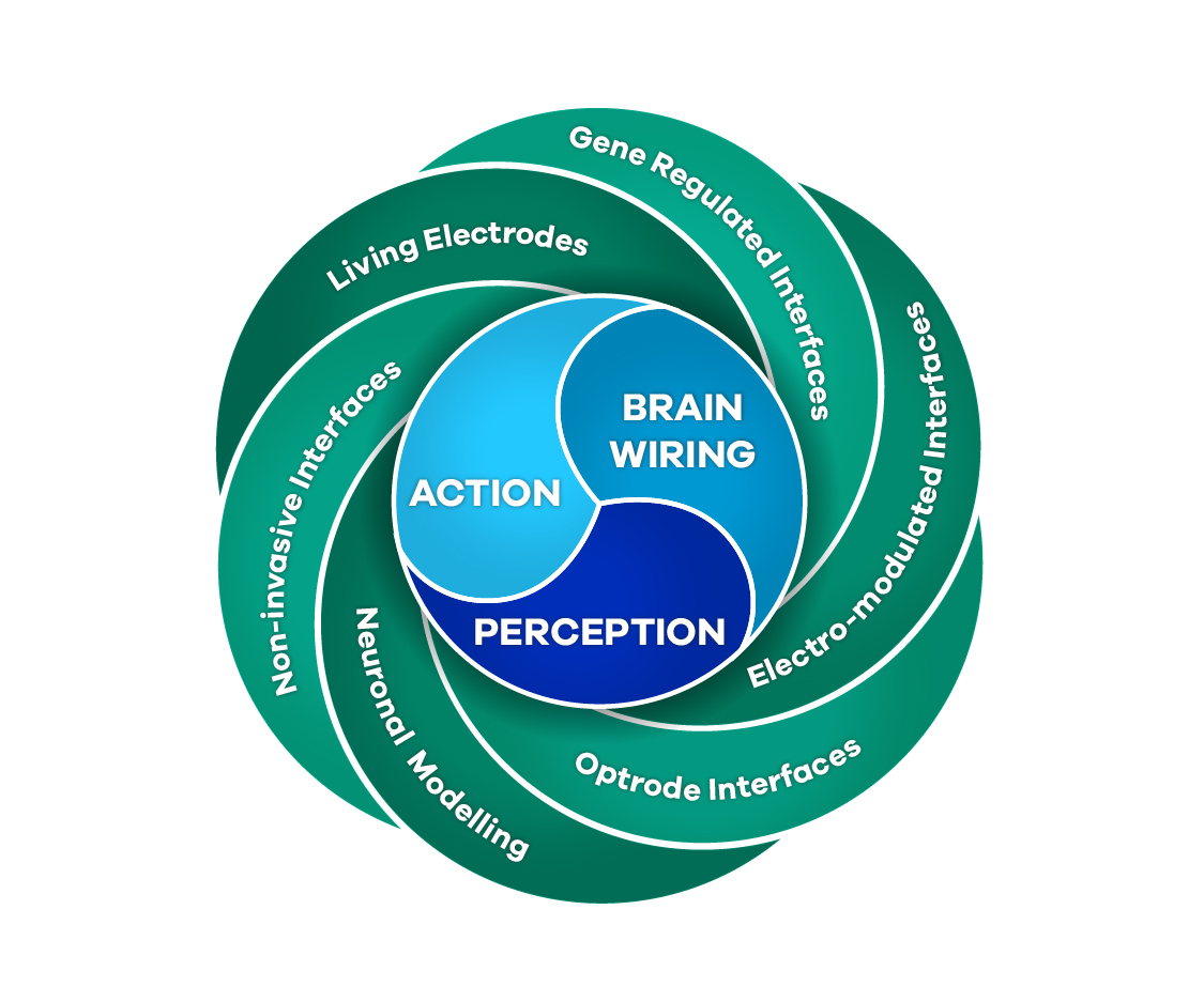 Diseño Gráfico por raph para este proyecto | Diseño #8009157