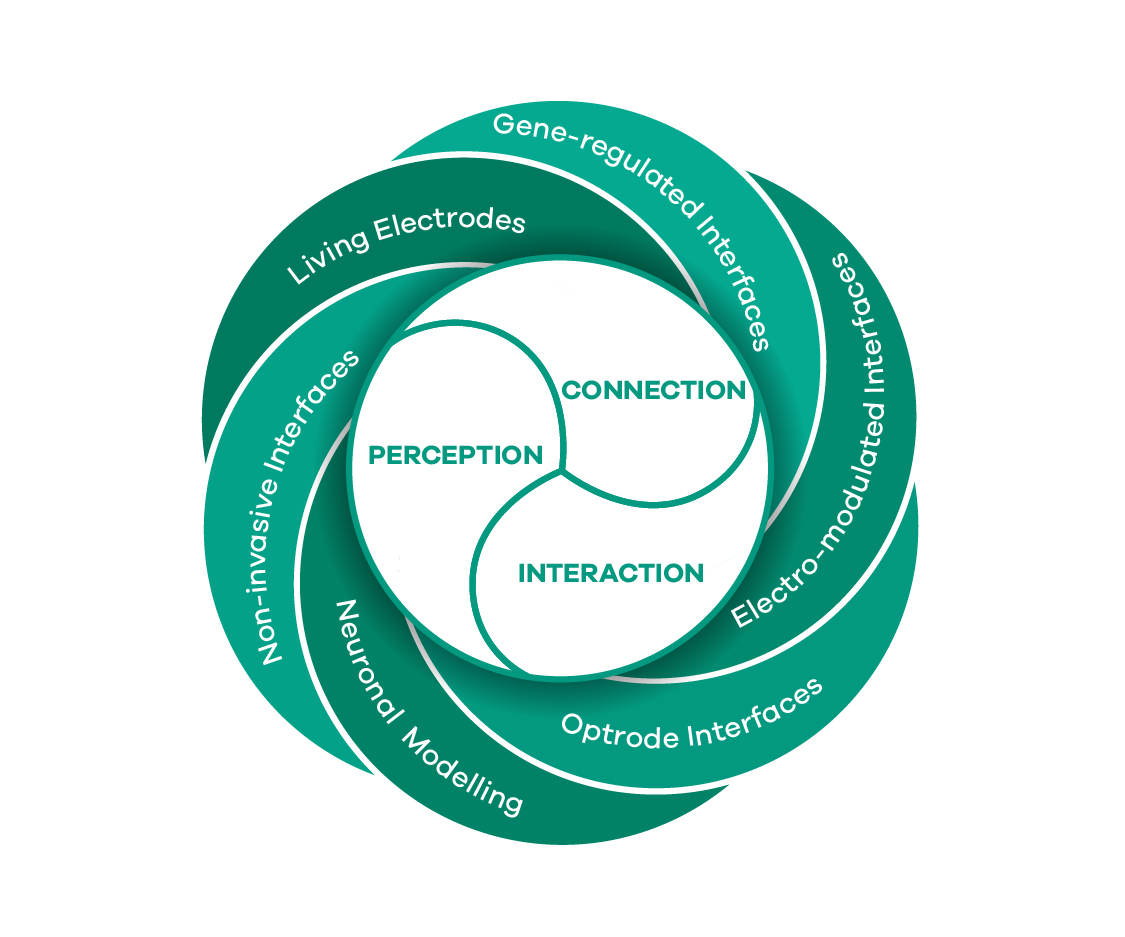 Diseño Gráfico por raph para este proyecto | Diseño #8421234