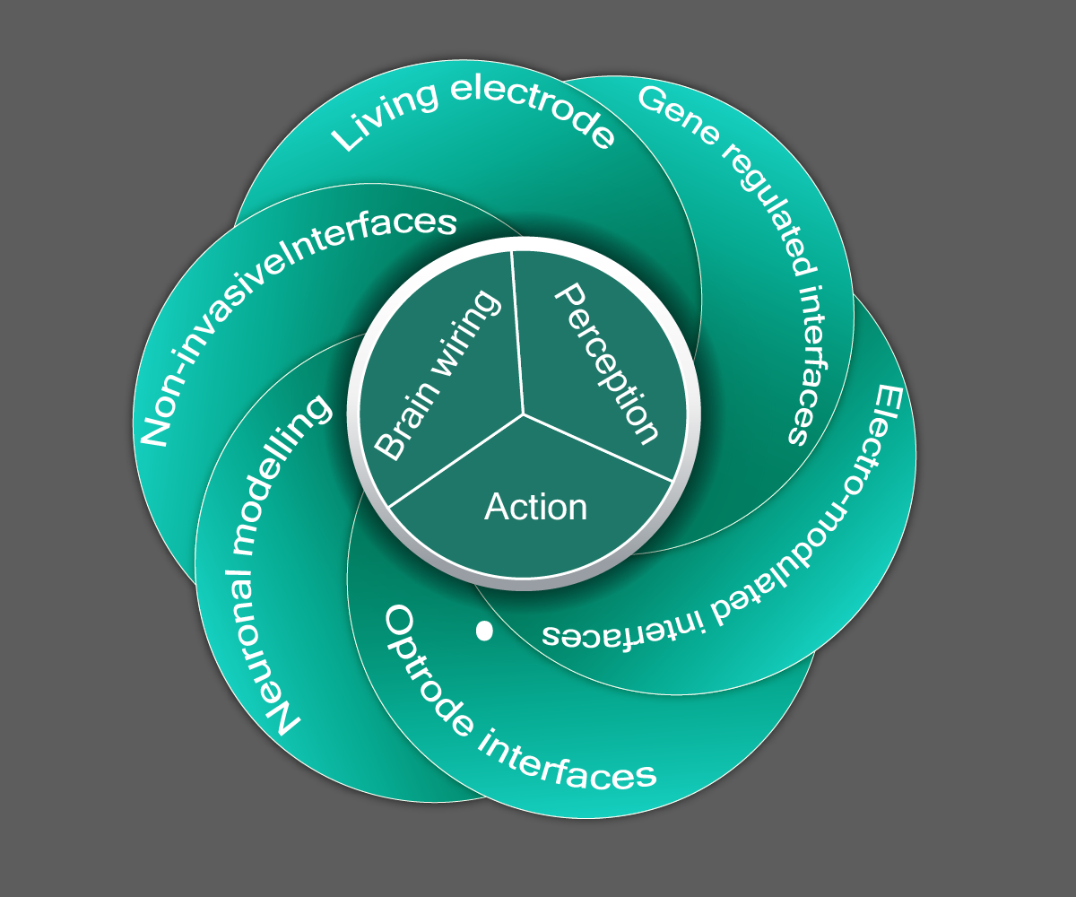 Diseño Gráfico por designerk para este proyecto | Diseño #8155422