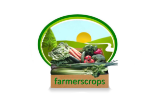 Logo Design by designerone