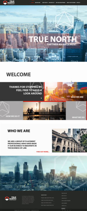 Diseño Web por Kiwi &amp; Lime Design para Parnell & Co. | Diseño: #7979391
