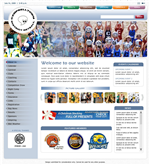 Diseño Web por BrandOne para Siteflex | Diseño: #15985