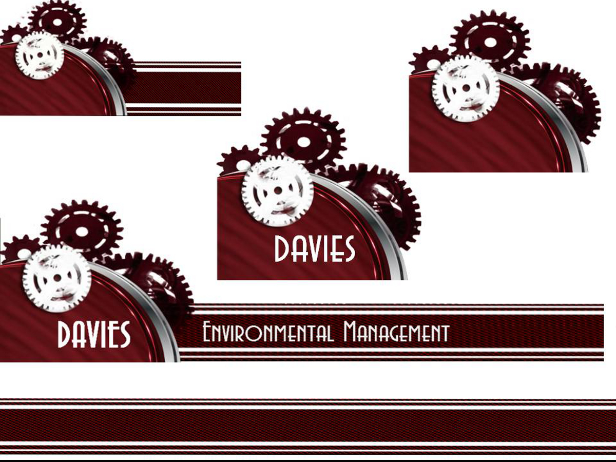 Stationery Design by BumperSticker22 for Davies Environmental Management Limited | Design #1990205
