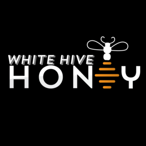 Logo Design by Alvin24