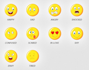 Icon Design by Rahul Rao