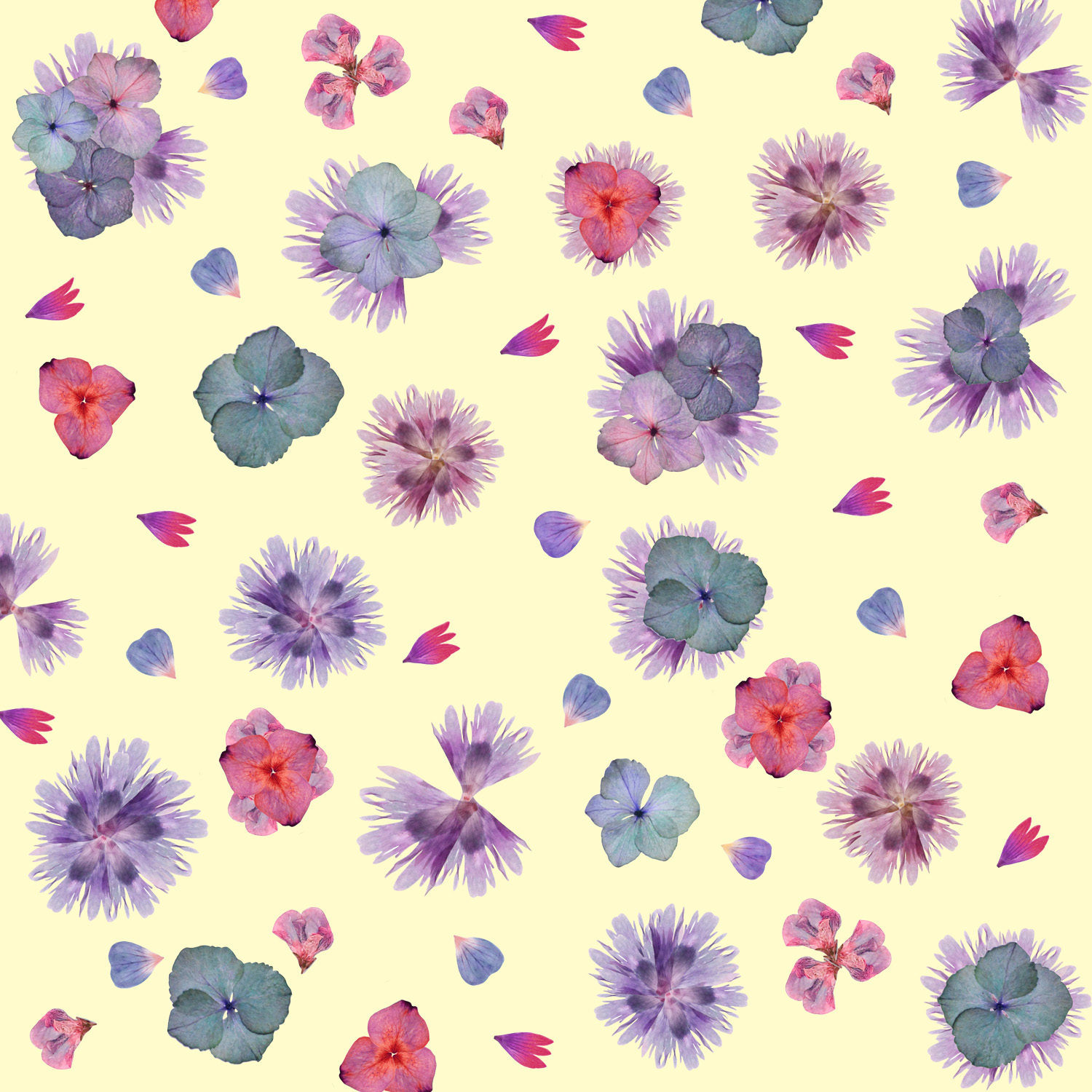 Graphic Design by robertafulco for this project | Design #8402059