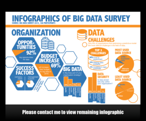 Infographic Design by Argyle and Paisley GD
