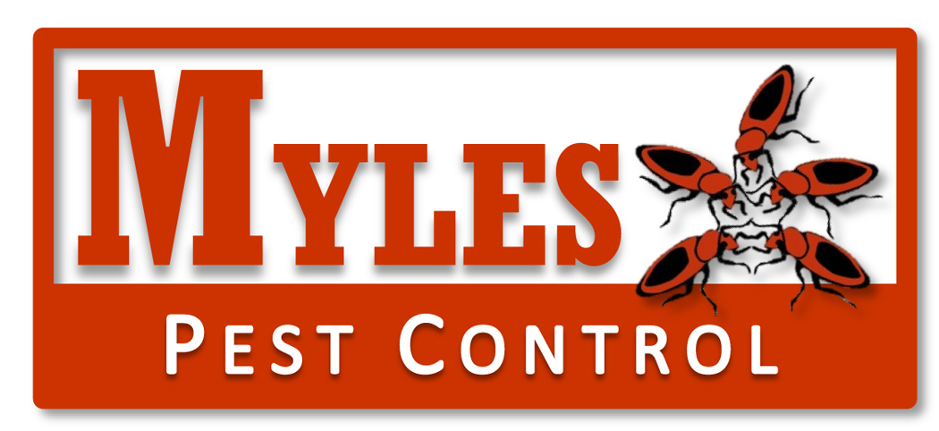 Diseño de Logo por JMN Design para este proyecto | Diseño #1973986