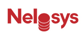 Logo Design by ERICK ANDRE VOORNEMAN for NeloSys, LLC | Design #8154944