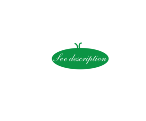 Logo Design by baidyamy