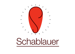 Logo Design by ray3kay