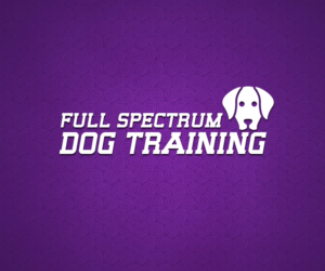 Logo Design by Webgen Technologies