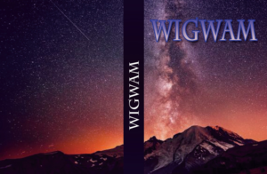 Book Cover Design by DG for this project | Design: #8005539