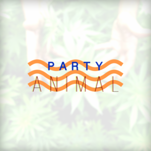 Logo Design by Roku Design
